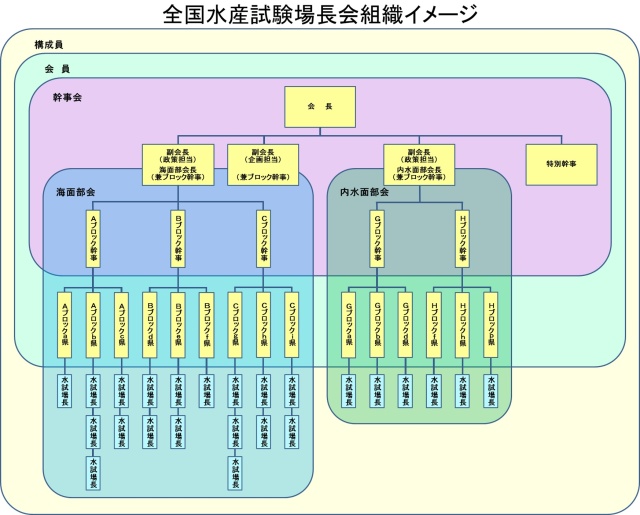 組織イメージ